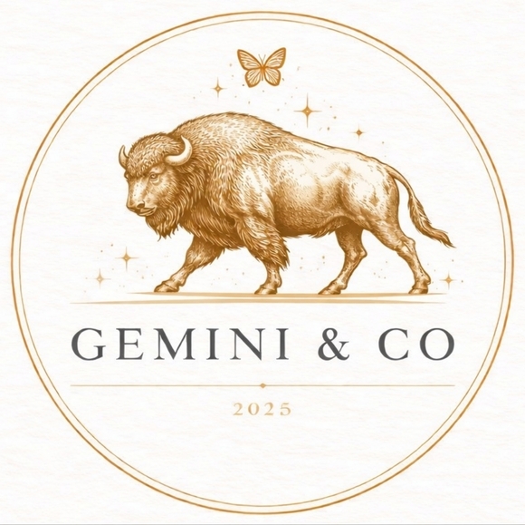 gemini_co